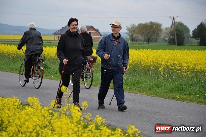 Zdjęcie w galerii na portalu naszraciborz.pl: Inauguracja sezonu rowerowego i nordic walking w gminie Krzyżanowice wiadomości z regionu