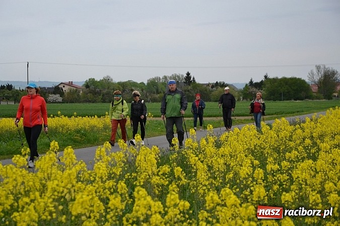 Zdjęcie w galerii na portalu naszraciborz.pl: Inauguracja sezonu rowerowego i nordic walking w gminie Krzyżanowice wiadomości z regionu