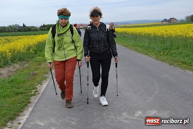 Zdjęcie w galerii na portalu naszraciborz.pl: Inauguracja sezonu rowerowego i nordic walking w gminie Krzyżanowice wiadomości z regionu