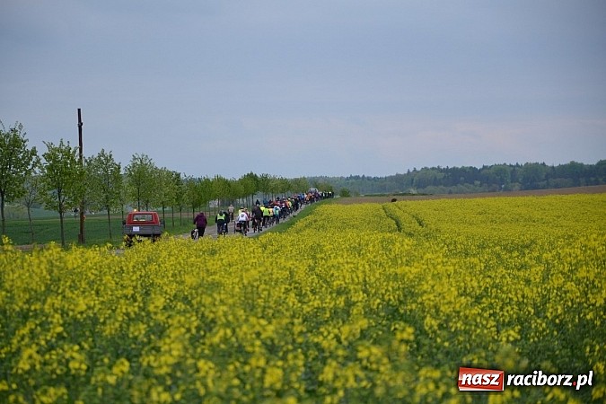 Zdjęcie w galerii na portalu naszraciborz.pl: Inauguracja sezonu rowerowego i nordic walking w gminie Krzyżanowice wiadomości z regionu