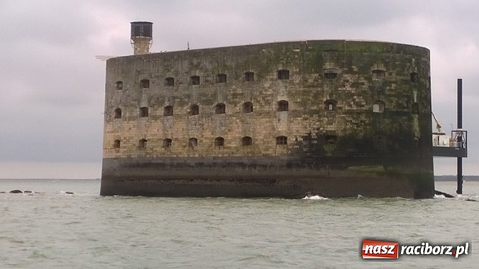 Zdjęcie w galerii na portalu naszraciborz.pl: Uczniowie ZSO nr 1 w Raciborzu gościli we Francji wiadomości z regionu