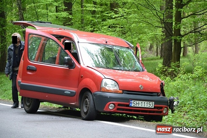 Zdjęcie w galerii na portalu naszraciborz.pl: Czołowe zderzenie busa z BMW! DW919 na odcinku Jankowice-Rudy zablokowana!  wiadomości z regionu