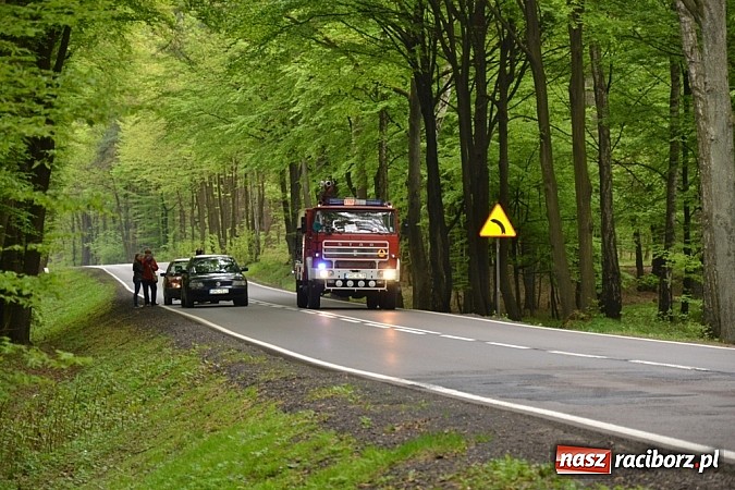 Zdjęcie w galerii na portalu naszraciborz.pl: Czołowe zderzenie busa z BMW! DW919 na odcinku Jankowice-Rudy zablokowana!  wiadomości z regionu
