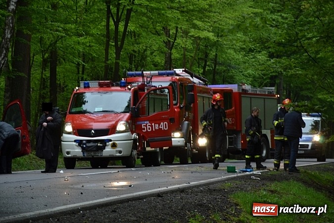 Zdjęcie w galerii na portalu naszraciborz.pl: Czołowe zderzenie busa z BMW! DW919 na odcinku Jankowice-Rudy zablokowana!  wiadomości z regionu