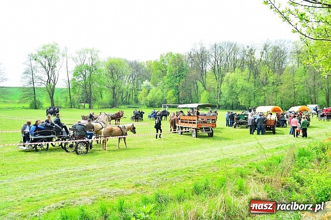 Zdjęcie w galerii na portalu naszraciborz.pl: Majówka konna w Kornicach rozpoczęta wiadomości z regionu