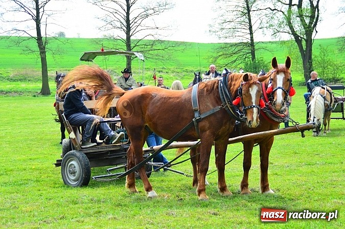 Zdjęcie w galerii na portalu naszraciborz.pl: Majówka konna w Kornicach rozpoczęta wiadomości z regionu