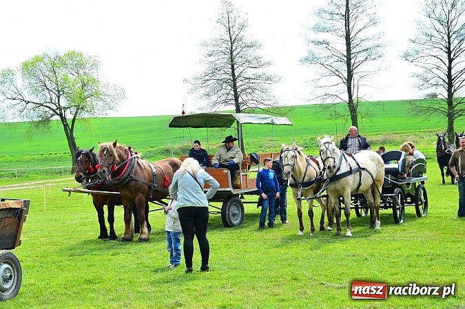Zdjęcie w galerii na portalu naszraciborz.pl: Majówka konna w Kornicach rozpoczęta wiadomości z regionu