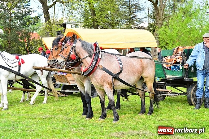 Zdjęcie w galerii na portalu naszraciborz.pl: Majówka konna w Kornicach rozpoczęta wiadomości z regionu