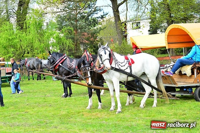 Zdjęcie w galerii na portalu naszraciborz.pl: Majówka konna w Kornicach rozpoczęta wiadomości z regionu
