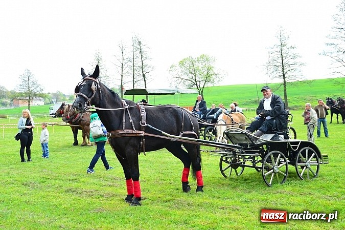 Zdjęcie w galerii na portalu naszraciborz.pl: Majówka konna w Kornicach rozpoczęta wiadomości z regionu