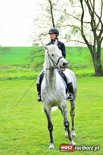 Zdjęcie w galerii na portalu naszraciborz.pl: Majówka konna w Kornicach rozpoczęta wiadomości z regionu