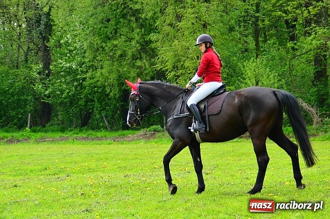 Zdjęcie w galerii na portalu naszraciborz.pl: Majówka konna w Kornicach rozpoczęta wiadomości z regionu
