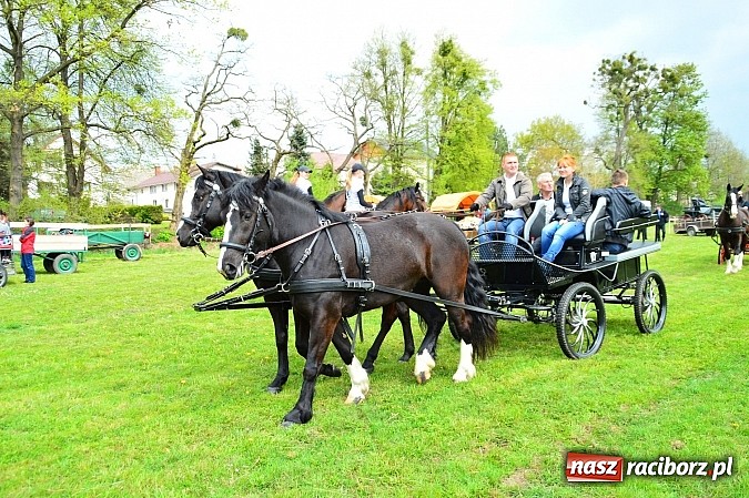 Zdjęcie w galerii na portalu naszraciborz.pl: Majówka konna w Kornicach rozpoczęta wiadomości z regionu