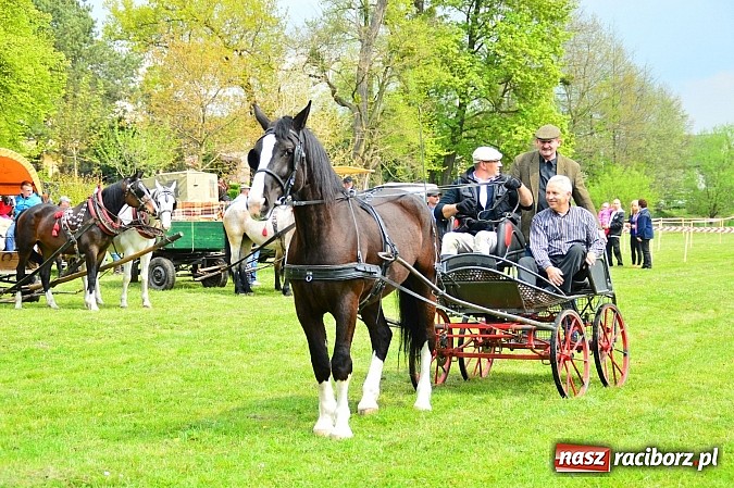 Zdjęcie w galerii na portalu naszraciborz.pl: Majówka konna w Kornicach rozpoczęta wiadomości z regionu