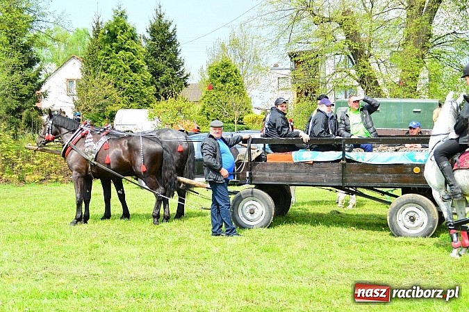 Zdjęcie w galerii na portalu naszraciborz.pl: Majówka konna w Kornicach rozpoczęta wiadomości z regionu