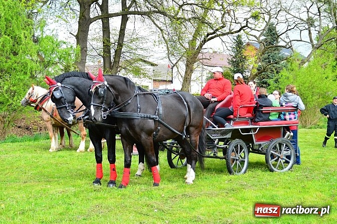 Zdjęcie w galerii na portalu naszraciborz.pl: Majówka konna w Kornicach rozpoczęta wiadomości z regionu