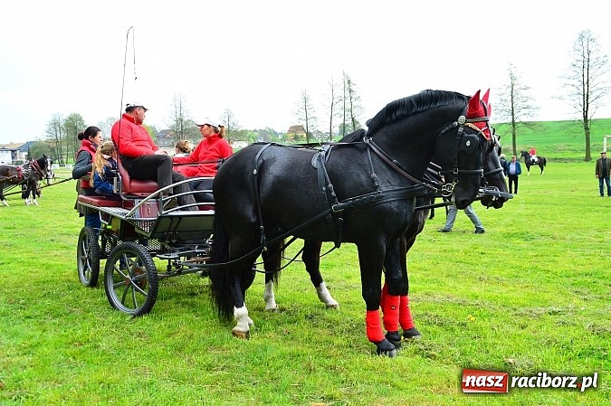 Zdjęcie w galerii na portalu naszraciborz.pl: Majówka konna w Kornicach rozpoczęta wiadomości z regionu