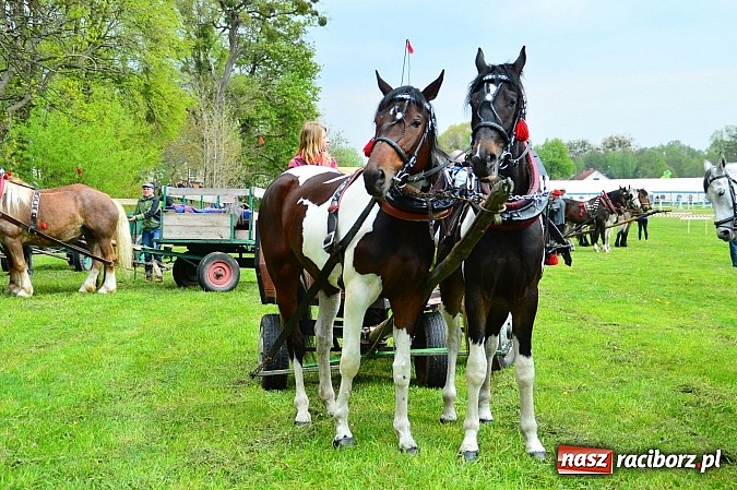 Zdjęcie w galerii na portalu naszraciborz.pl: Majówka konna w Kornicach rozpoczęta wiadomości z regionu