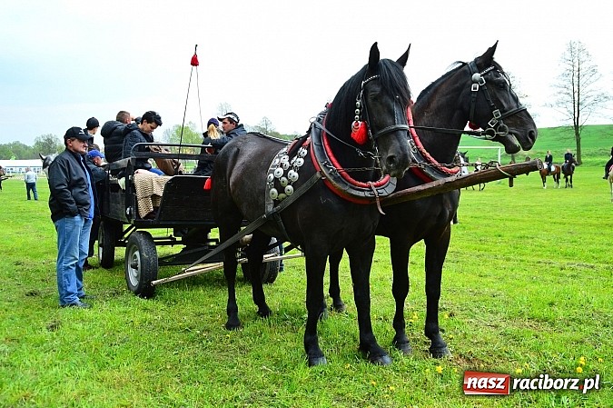 Zdjęcie w galerii na portalu naszraciborz.pl: Majówka konna w Kornicach rozpoczęta wiadomości z regionu