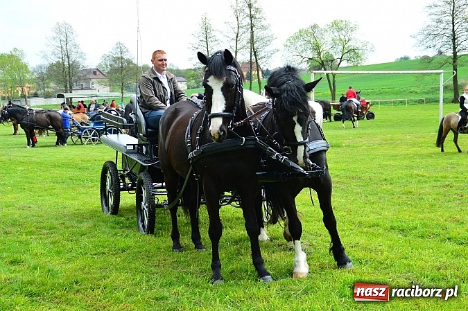 Zdjęcie w galerii na portalu naszraciborz.pl: Majówka konna w Kornicach rozpoczęta wiadomości z regionu