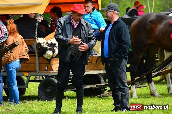 Zdjęcie w galerii na portalu naszraciborz.pl: Majówka konna w Kornicach rozpoczęta wiadomości z regionu