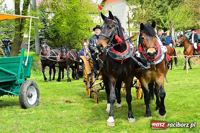 Zdjęcie w galerii na portalu naszraciborz.pl: Majówka konna w Kornicach rozpoczęta wiadomości z regionu