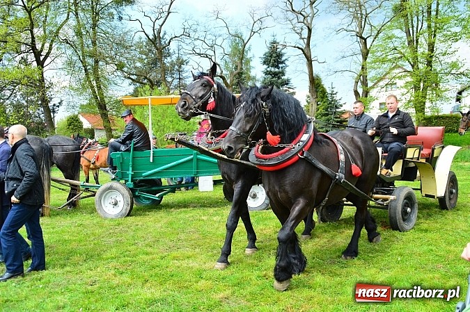 Zdjęcie w galerii na portalu naszraciborz.pl: Majówka konna w Kornicach rozpoczęta wiadomości z regionu