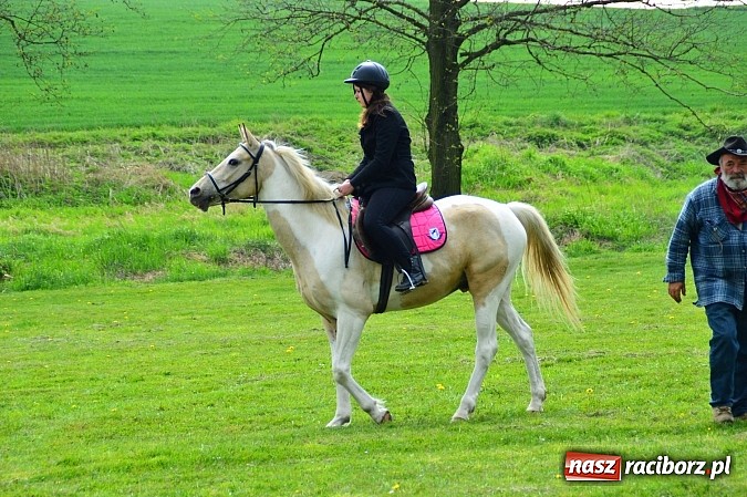 Zdjęcie w galerii na portalu naszraciborz.pl: Majówka konna w Kornicach rozpoczęta wiadomości z regionu