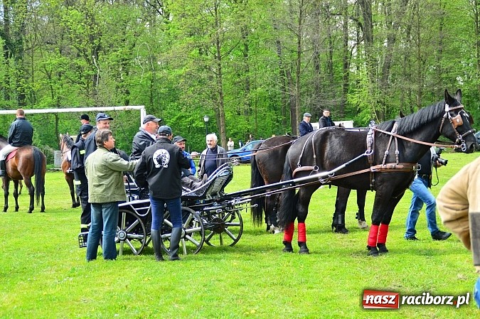 Zdjęcie w galerii na portalu naszraciborz.pl: Majówka konna w Kornicach rozpoczęta wiadomości z regionu