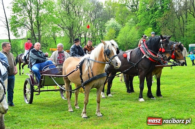 Zdjęcie w galerii na portalu naszraciborz.pl: Majówka konna w Kornicach rozpoczęta wiadomości z regionu
