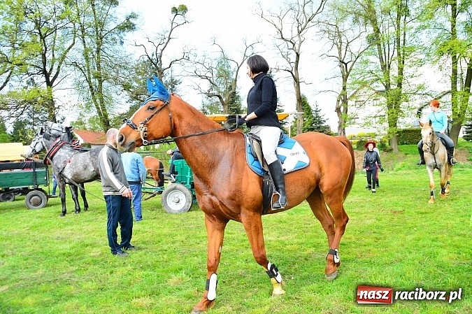 Zdjęcie w galerii na portalu naszraciborz.pl: Majówka konna w Kornicach rozpoczęta wiadomości z regionu