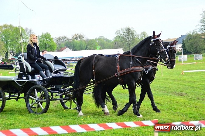 Zdjęcie w galerii na portalu naszraciborz.pl: Majówka konna w Kornicach rozpoczęta wiadomości z regionu