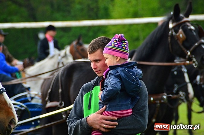 Zdjęcie w galerii na portalu naszraciborz.pl: Majówka konna w Kornicach rozpoczęta wiadomości z regionu