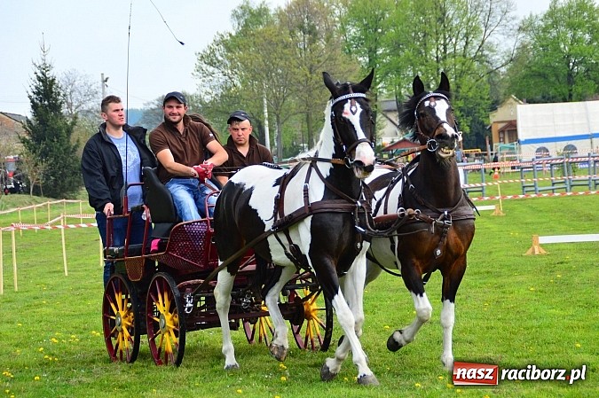 Zdjęcie w galerii na portalu naszraciborz.pl: Majówka konna w Kornicach rozpoczęta wiadomości z regionu