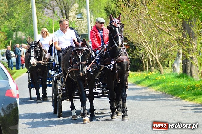 Zdjęcie w galerii na portalu naszraciborz.pl: Majówka konna w Kornicach rozpoczęta wiadomości z regionu