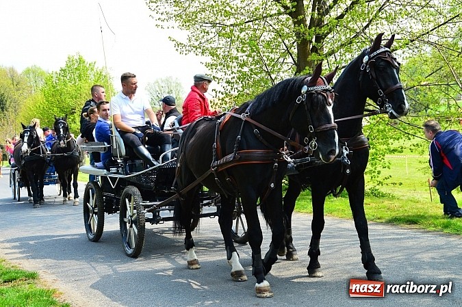 Zdjęcie w galerii na portalu naszraciborz.pl: Majówka konna w Kornicach rozpoczęta wiadomości z regionu