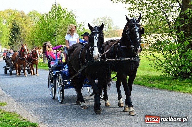 Zdjęcie w galerii na portalu naszraciborz.pl: Majówka konna w Kornicach rozpoczęta wiadomości z regionu