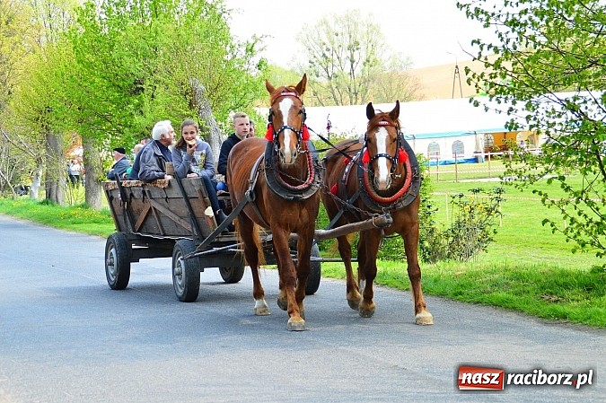 Zdjęcie w galerii na portalu naszraciborz.pl: Majówka konna w Kornicach rozpoczęta wiadomości z regionu