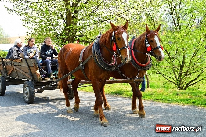 Zdjęcie w galerii na portalu naszraciborz.pl: Majówka konna w Kornicach rozpoczęta wiadomości z regionu