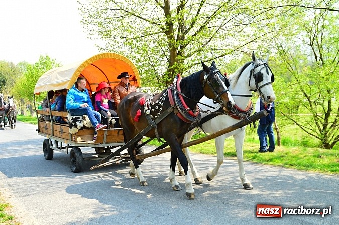 Zdjęcie w galerii na portalu naszraciborz.pl: Majówka konna w Kornicach rozpoczęta wiadomości z regionu