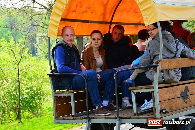 Zdjęcie w galerii na portalu naszraciborz.pl: Majówka konna w Kornicach rozpoczęta wiadomości z regionu