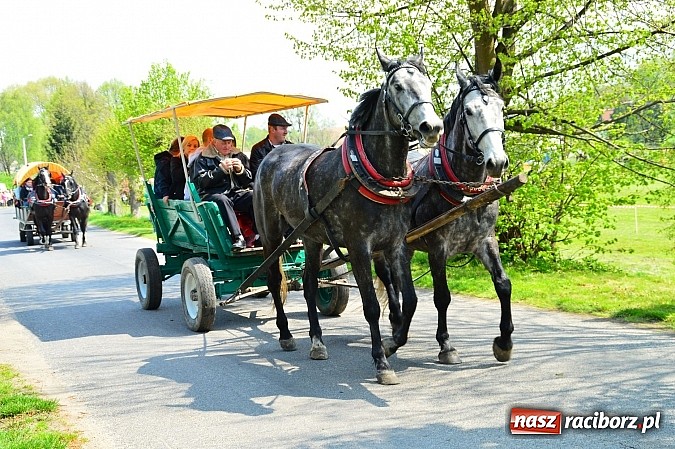 Zdjęcie w galerii na portalu naszraciborz.pl: Majówka konna w Kornicach rozpoczęta wiadomości z regionu