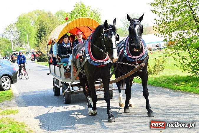 Zdjęcie w galerii na portalu naszraciborz.pl: Majówka konna w Kornicach rozpoczęta wiadomości z regionu