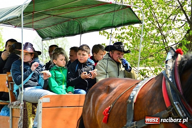 Zdjęcie w galerii na portalu naszraciborz.pl: Majówka konna w Kornicach rozpoczęta wiadomości z regionu