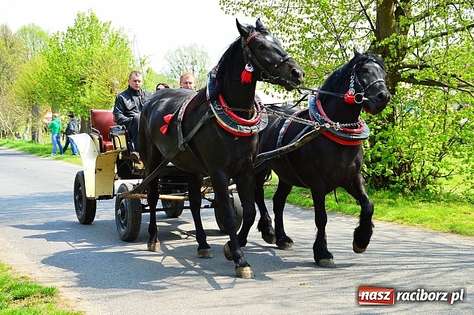 Zdjęcie w galerii na portalu naszraciborz.pl: Majówka konna w Kornicach rozpoczęta wiadomości z regionu