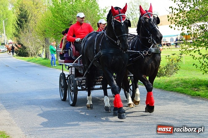 Zdjęcie w galerii na portalu naszraciborz.pl: Majówka konna w Kornicach rozpoczęta wiadomości z regionu