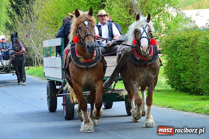 Zdjęcie w galerii na portalu naszraciborz.pl: Majówka konna w Kornicach rozpoczęta wiadomości z regionu