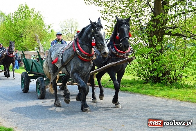 Zdjęcie w galerii na portalu naszraciborz.pl: Majówka konna w Kornicach rozpoczęta wiadomości z regionu