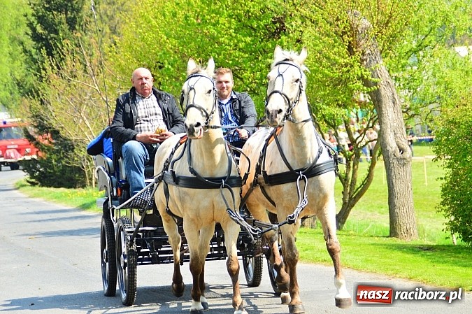 Zdjęcie w galerii na portalu naszraciborz.pl: Majówka konna w Kornicach rozpoczęta wiadomości z regionu