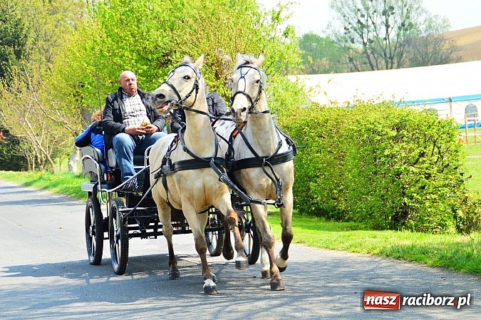 Zdjęcie w galerii na portalu naszraciborz.pl: Majówka konna w Kornicach rozpoczęta wiadomości z regionu